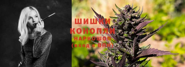ECSTASY Богданович
