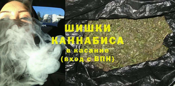 дмт Богородск