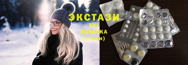 ECSTASY Богданович