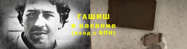 ECSTASY Богданович