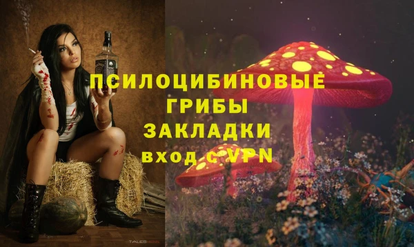 прущая мука Богородицк