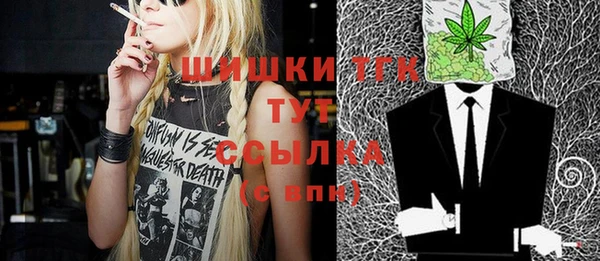 ECSTASY Богданович