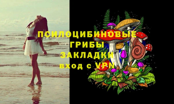 ECSTASY Богданович