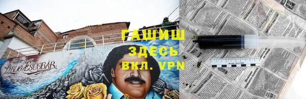дмт Богородск