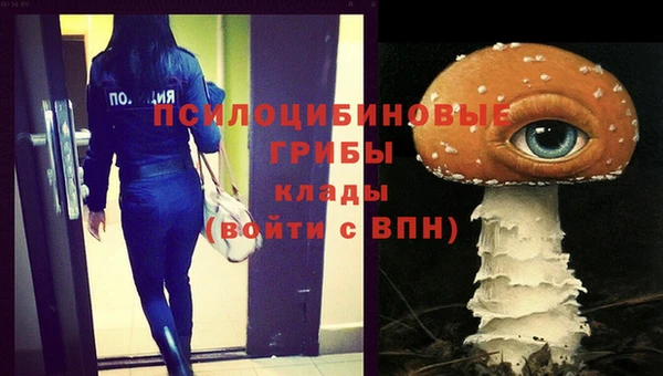 прущая мука Богородицк