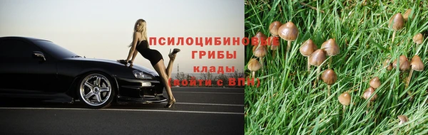 ECSTASY Богданович