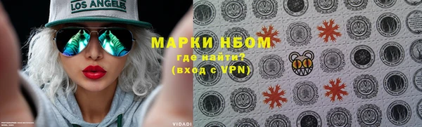ECSTASY Богданович